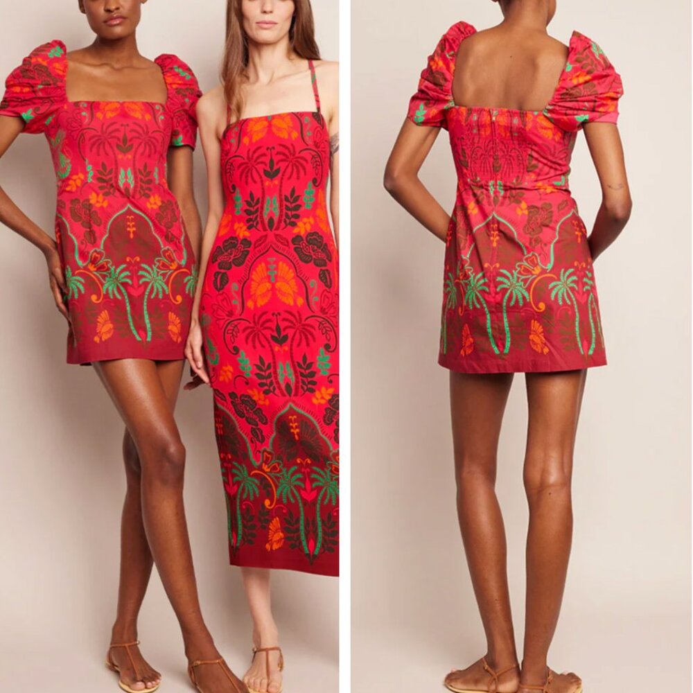 Beautiful Cara Cara Mini Dress Size Small!